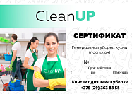 CLEAN UP: Генеральная уборка КУХНИ (под ключ)